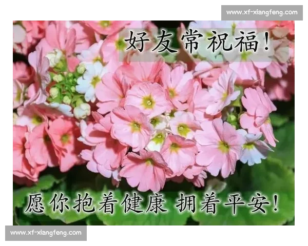 朋友比赛加油祝福语大全愿你们都能展现最佳实力创造辉煌成绩 朋友比赛加油祝福语大全愿你们都能展现最佳实力创造辉煌成绩